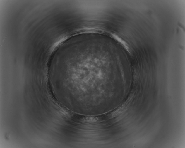 X0000091881411200709191147