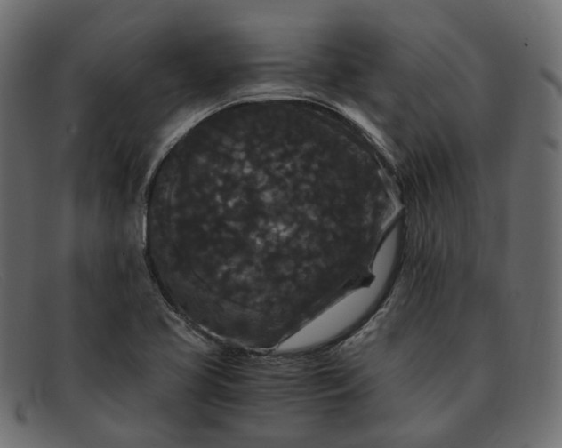 X0000091881413200709191147