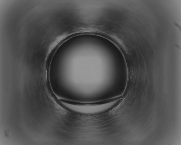 X0000091881414200709191147