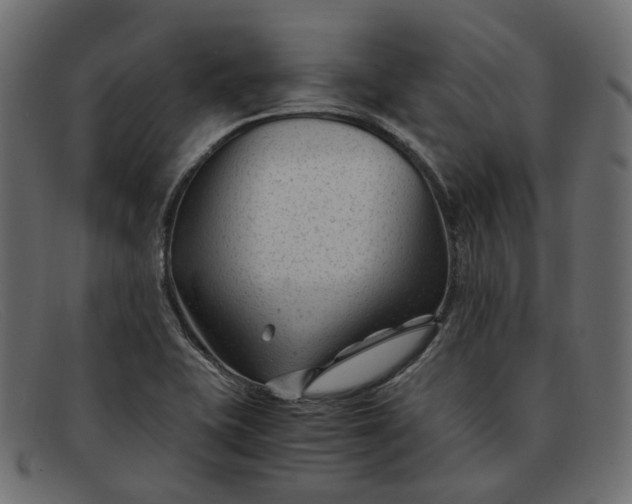 X0000091881415200709191147