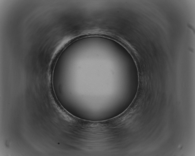 X0000091881416200709191147