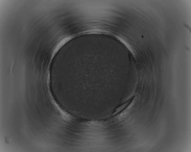 X0000091881418200709191147