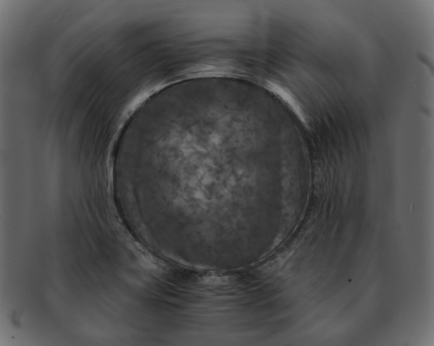 X0000091881419200709191147