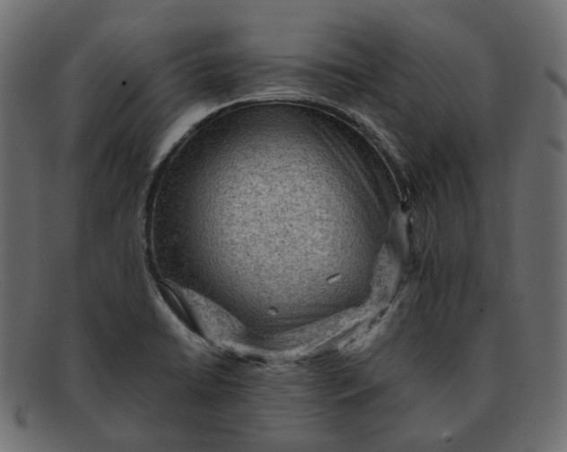 X0000091881422200709191147