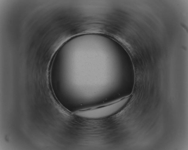 X0000091881423200709191147