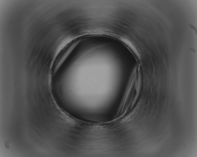 X0000091881424200709191147