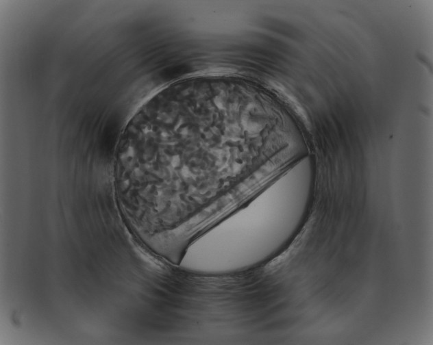 X0000091881425200709191147