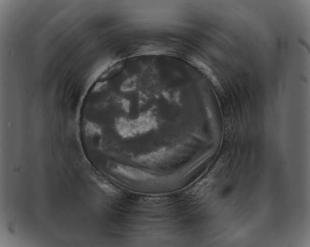 X0000091881427200709191147