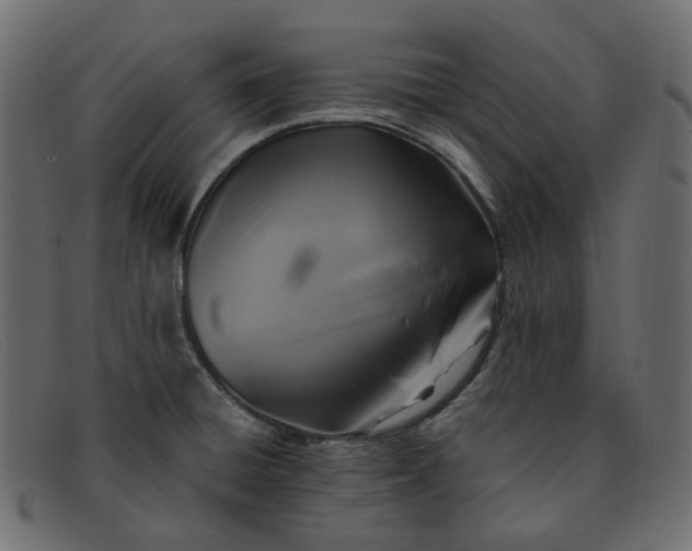 X0000091881428200709191147