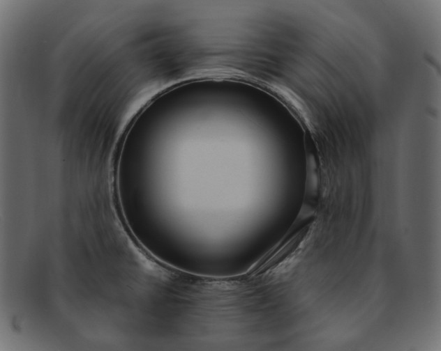 X0000091881430200709191147