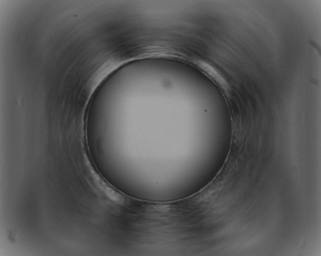 X0000091881431200709191147