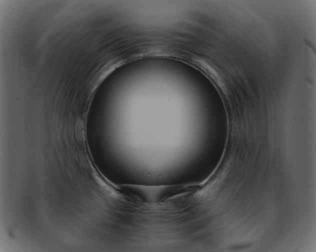 X0000091881433200709191147