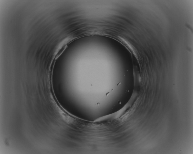 X0000091881434200709191147