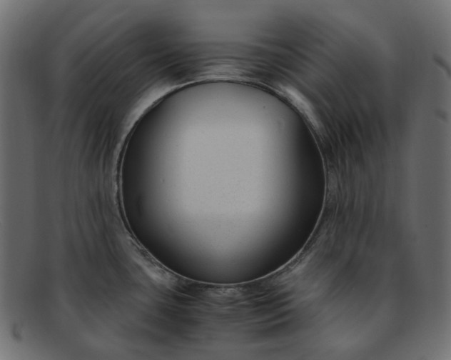 X0000091881435200709191147