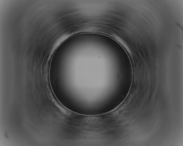 X0000091881437200709191147