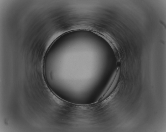 X0000091881438200709191147