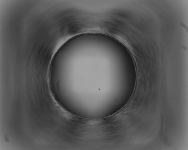 X0000091881440200709191147