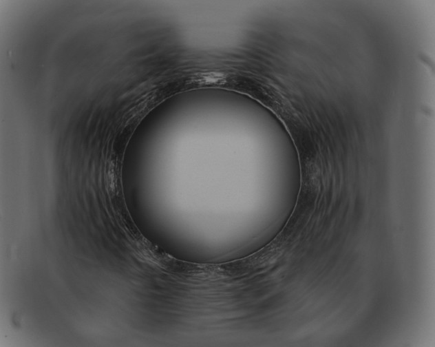 X0000091881442200709191146