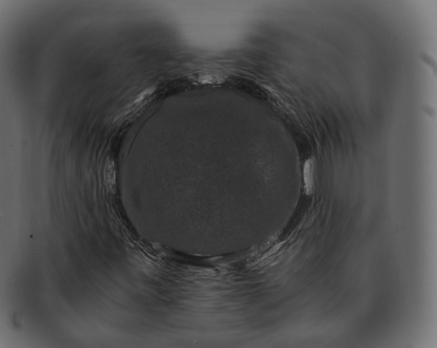 X0000091881443200709191146