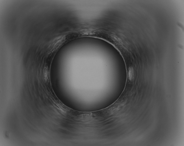 X0000091881444200709191146