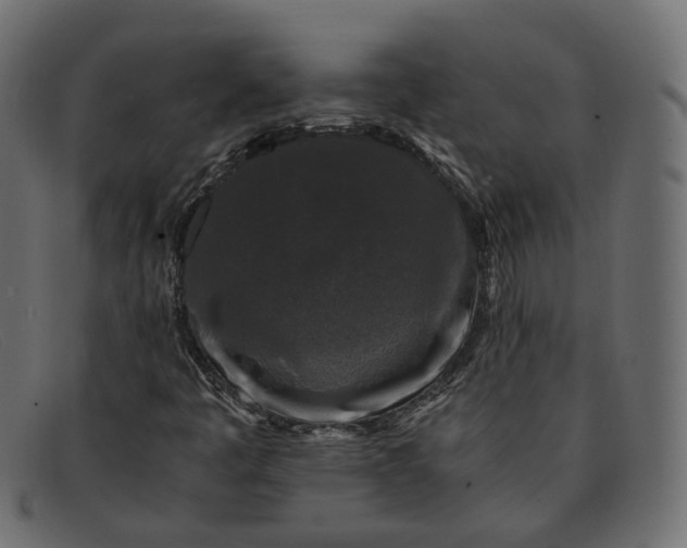 X0000091881445200709191146