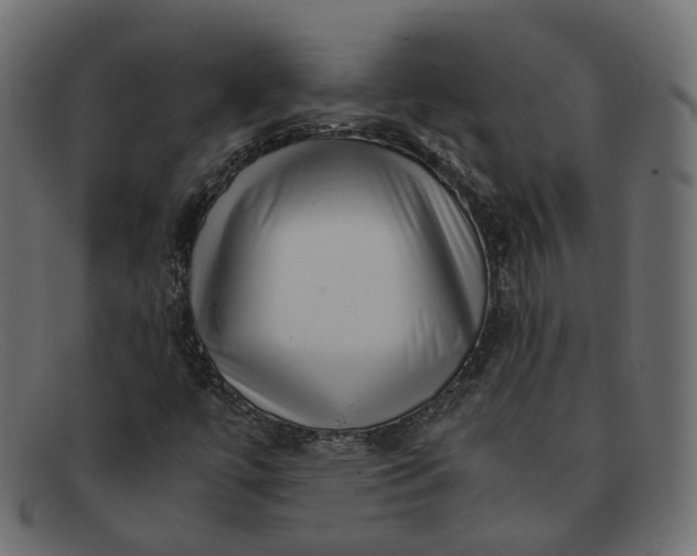 X0000091881447200709191146