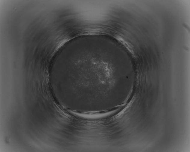 X0000091881449200709191146