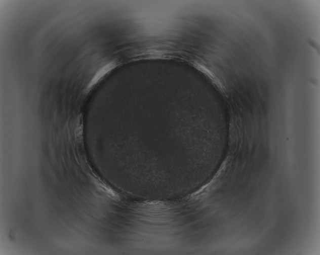 X0000091881450200709191146