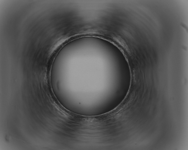 X0000091881452200709191146