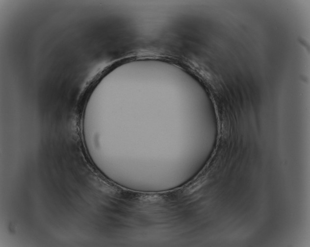 X0000091881454200709191146