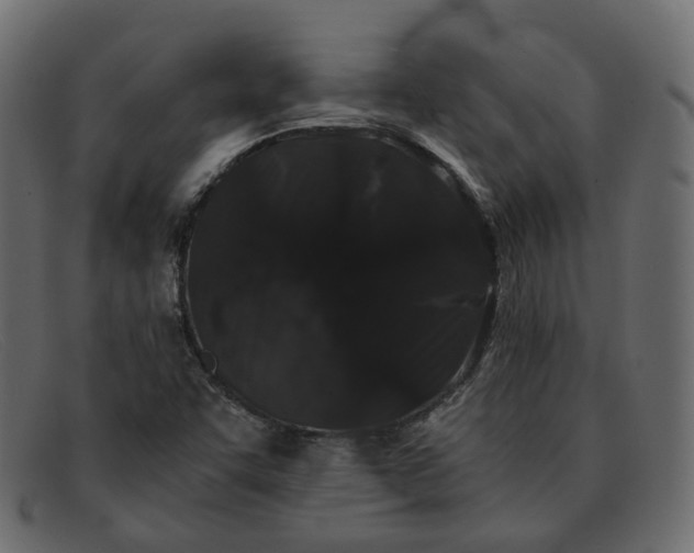 X0000091881455200709191146