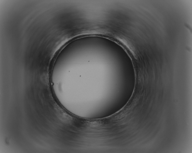 X0000091881460200709191146