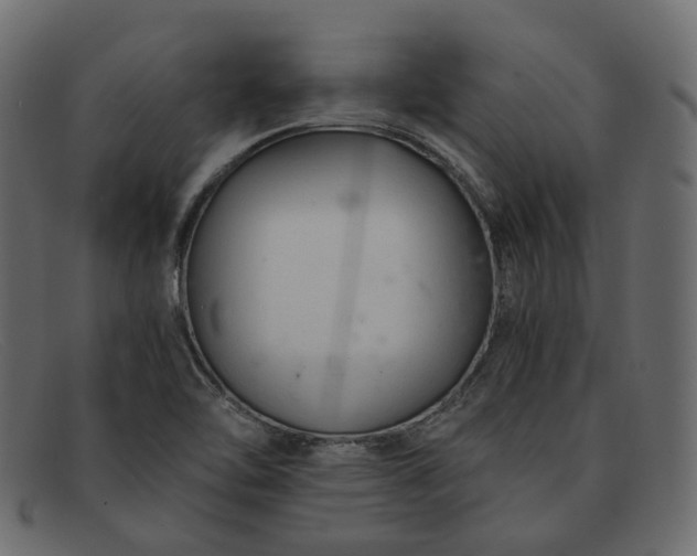 X0000091881462200709191146