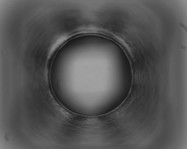 X0000091881464200709191146