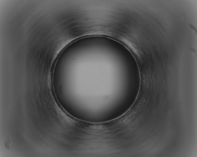 X0000091881468200709191146