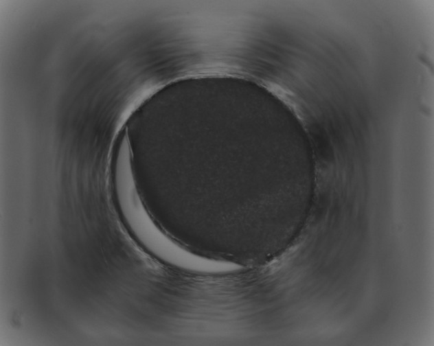 X0000091881469200709191146