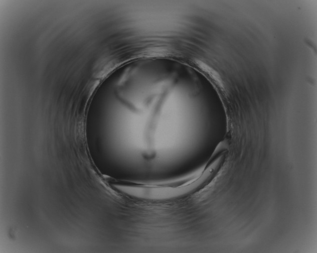 X0000091881473200709191146