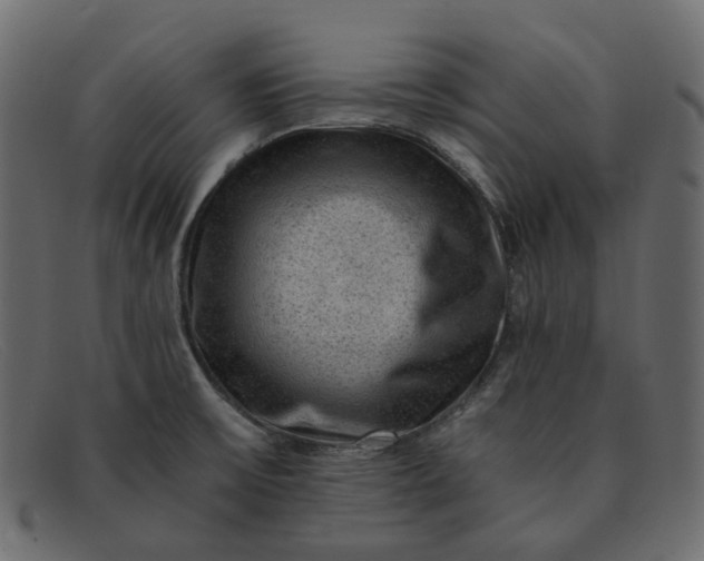 X0000091881475200709191146