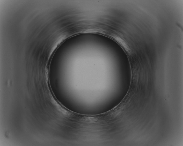 X0000091881476200709191146