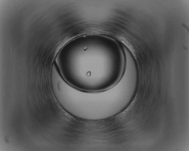 X0000091881481200709191146