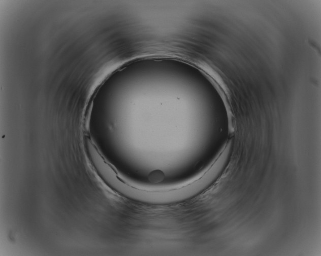 X0000091881485200709191146