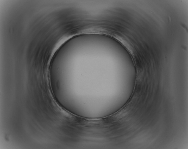 X0000091881486200709191146