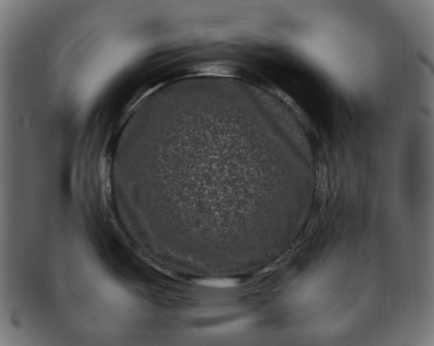 X0000091881487200709191146