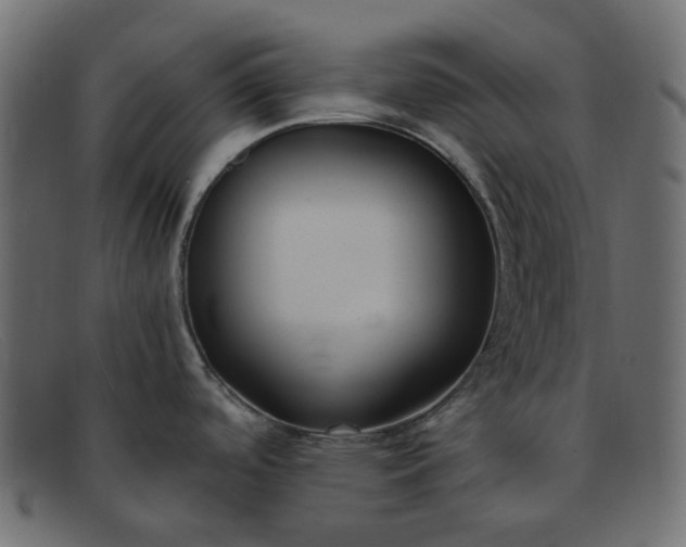 X0000091881488200709191146