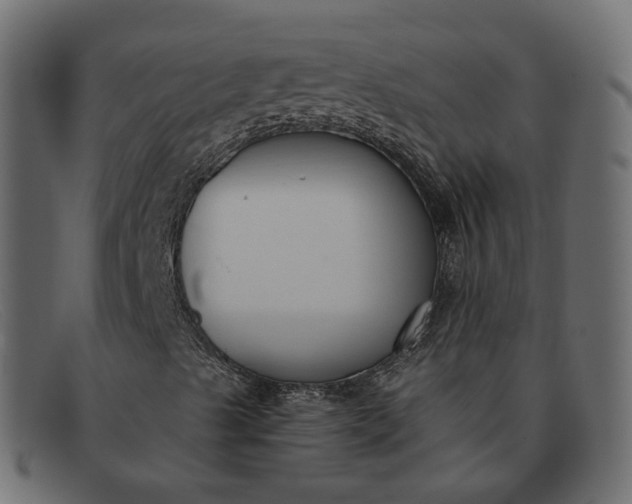 X0000091881489200709191145