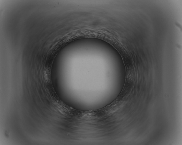 X0000091881490200709191145