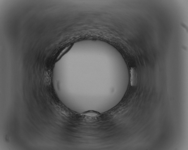 X0000091881491200709191145