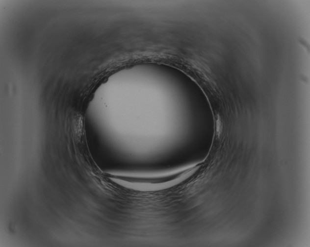 X0000091881492200709191145