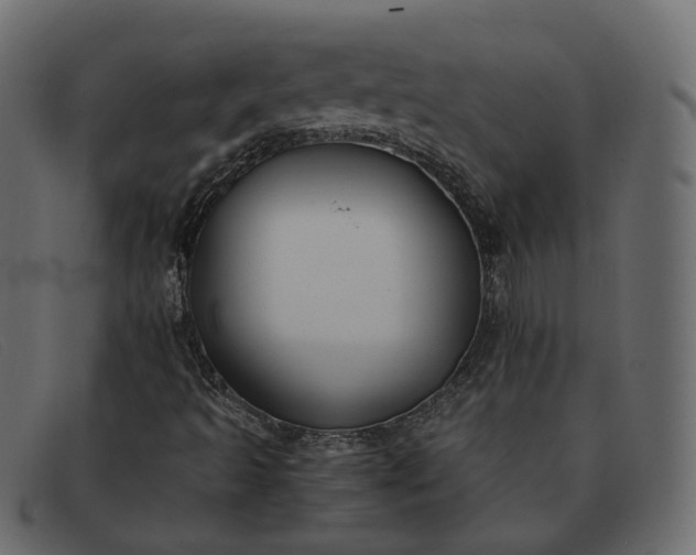 X0000091881493200709191145