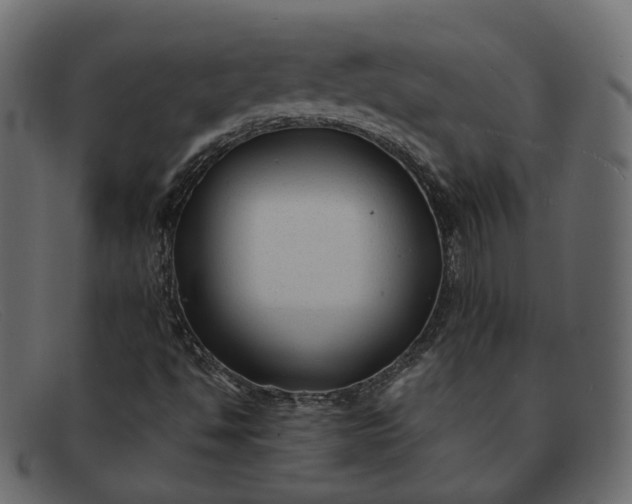 X0000091881494200709191145